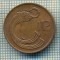 7370 MONEDA- IRLANDA - 1 PENNY - anul 1988 -starea ce se vede