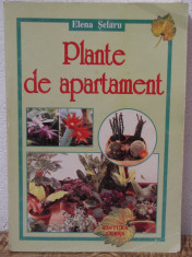 PLANTE DE APARTAMENT -ELENA SELARU foto