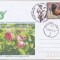 bnk fil Plic ocazional Mierea Urului - Miercurea Ciuc 2012