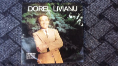 DOREL LIVIANU ,VINIL FARA ZGARIETURI foto