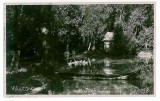 3690 - VALCOV, Chilia, Tulcea - old postcard, real PHOTO - unused