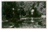 3690 - VALCOV, Chilia, Tulcea - old postcard, real PHOTO - unused, Necirculata, Fotografie