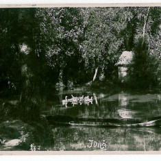 3690 - VALCOV, Chilia, Tulcea - old postcard, real PHOTO - unused