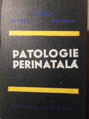 Patologie Perinatala - Gh. Ursu I. Lupea L. Rosan ,387592 foto
