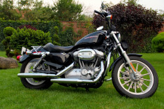 2007 Harley Davidson Sportster Low XL883L foto