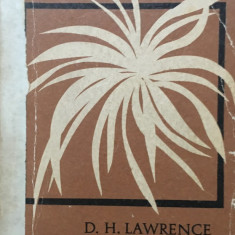 PARFUM DE CRIZANTEME - D. H. Lawrence