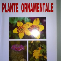 Plante ornamentale - G. Mohan, G. Nedelcu (5+1)4