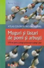 Bernd Schulz - Muguri si lastari de pomi si arbusti. Atlas de recunoastere - 37008 foto