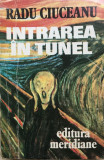 INTRAREA IN TUNEL - Radu Ciuceanu, 1991