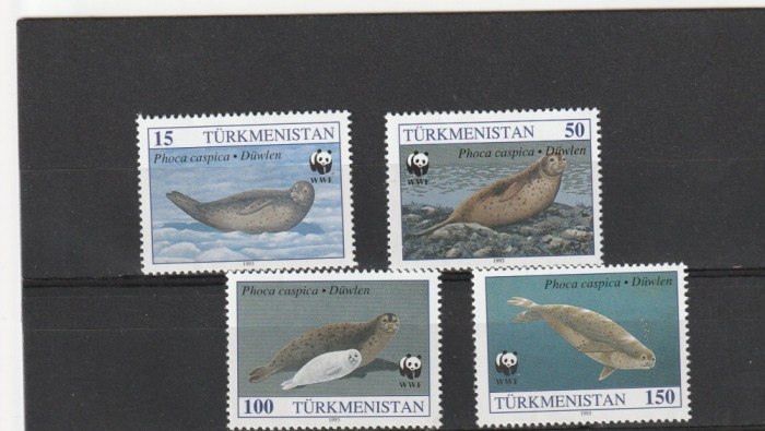 Fauna ,foci WWF ,Turkmenistan.