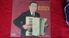 MARCEL BUDALA , VINIL FARA ZGARIETURI . foto