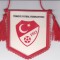 Fanion fotbal Federatia din TURCIA