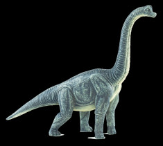 FIGURINA BRACHIOSAURUS foto