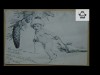 Carte postala Felicitare Romania 1907 circulata, Romania 1900 - 1950, Sepia, Sarbatori