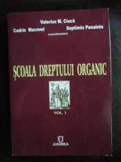 Scoala dreptului organic vol.1 foto