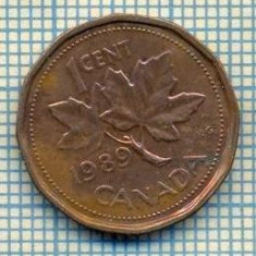7753 MONEDA- CANADA - 1 CENT - anul 1989 -starea ce se vede