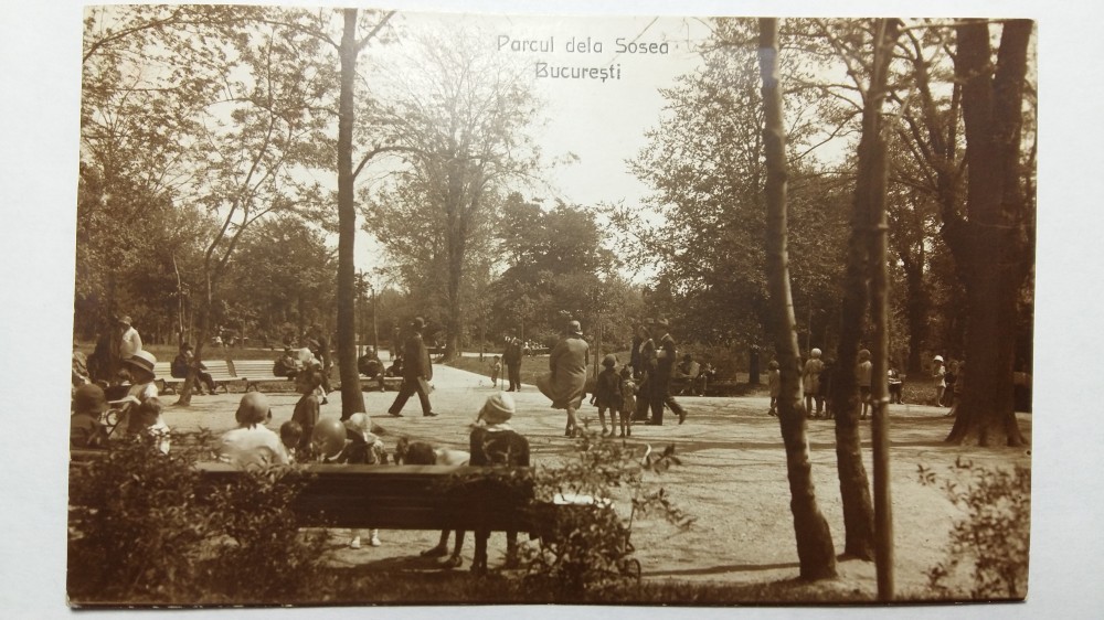 Bucuresti Parcul De La Sosea Perioada Interbelica Circulata Fotografie Okazii Ro