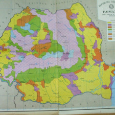 Romania administrativa si zonele de productie agricola harta color 48 x 35 cm