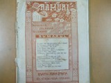 Ramuri Anul III No. 10 și 11, 15 mai și 1 iunie 1908 Craiova Iorga Făgețel 017