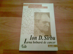 IARNA BOLNAVA DE CANCER - ION D. SIRBU foto