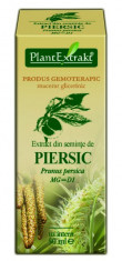 Extract din seminte de piersic (PRUNUS PERSICA) foto