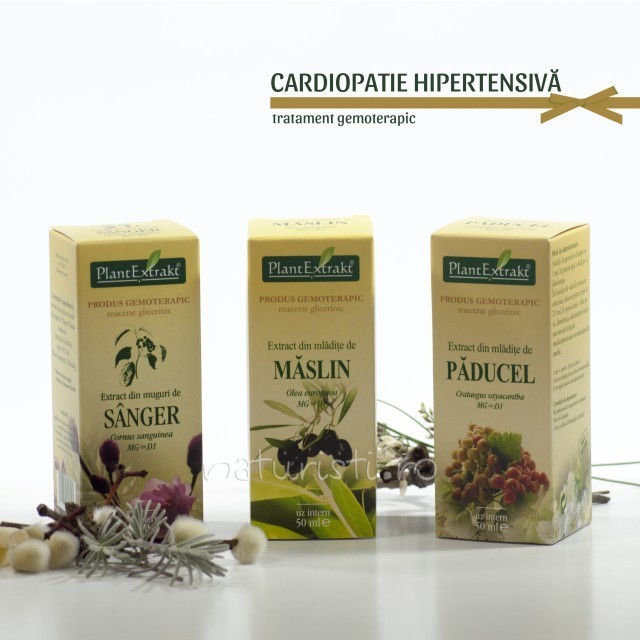 Tratament naturist - Cardiopatie hipertensiva (pachet) Tratament naturist - Cardiopatie hipertensiva (pachet)
