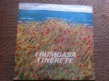 Temistocle Popa melodii frumoasa tinerete disc vinyl lp muzica usoara EDE 01376, VINIL, Pop, electrecord