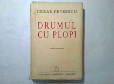Cezar Petrescu - Drumul cu plopi foto