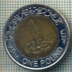 8009 MONEDA- EGYPT - 1 POUND -anul 2008 -starea ce se vede