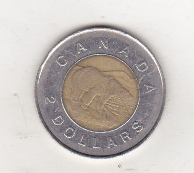 bnk mnd Canada 2 dollars 2006 , bimetal foto