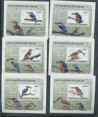 COMORES 2009 PASARI DELUXE COLITE foto