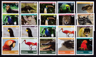 Guyana 2014 fauna MI 8833-8852 20 valori MNH foto