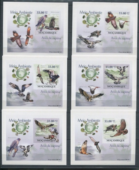 MOZAMBIC 2010 PASARI DE PRADA DELUXE COLITE