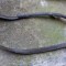 Garnitura far stanga+dreapta Opel Zafira 1