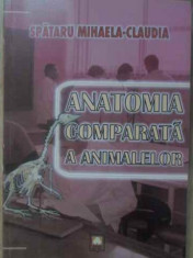 Anatomia Comparata A Animalelor - ]spataru Mihaela-claudia ,389211 foto