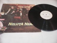 DISC VINIL NELUTA NEAGU MUZICA LAUTAREASCA RARITATE EUROSTAR CS-0229 foto