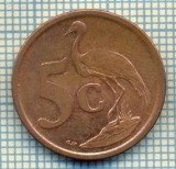 8185 MONEDA- AFRICA DE SUD - 5 CENTS -anul 2008 -starea ce se vede