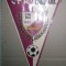 FANION FOTBAL - CS CFR TIMISOARA