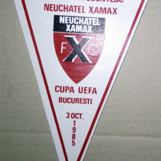 LOT 2 FANIOANE / FANION FOTBAL - SPORTUL NEUCHATEL + FC BAIA MARE