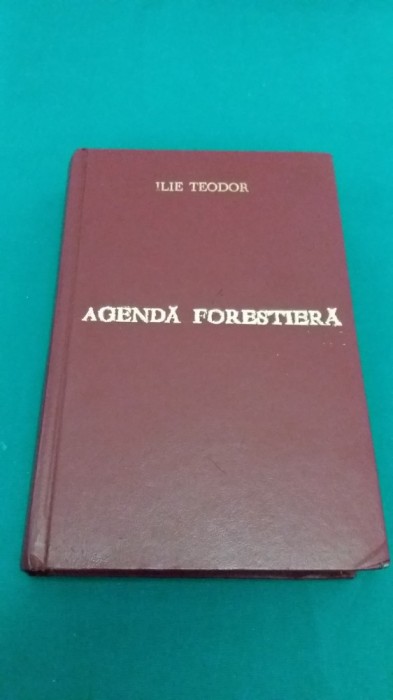 AGENDĂ FORESTIERĂ *1941/ EDIŢIA A III-A REVĂZUTĂ/V.N. STINGHIE, D.A. SBURLAN *