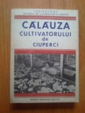 W4 CALAUZA CULTIVATORULUI DE CIUPERCI