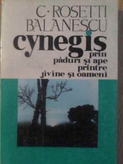 Cynegis Prin Paduri Si Ape Printre Jivine Si Oameni - C. Rosetti Balanescu ,389108 foto