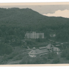 3659 - OLANESTI, Valcea, Panorama - old postcard, real PHOTO - unused