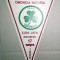 LOT 4 FANIOANE / -SPORTUL OMONIA,CIL SIGHET ,U CLUJ , AURUL BRAD
