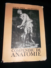 MIRCEA IFRIM,COMPENDIU DE ANATOMIE foto