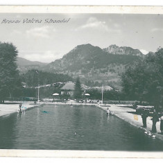 1503 - BREZOI, Valcea, Strandul - old postcard, real PHOTO - used - 1943