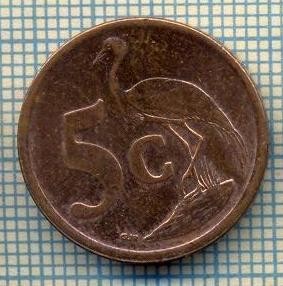 8207 MONEDA- AFRICA DE SUD - 5 CENTS -anul 2008 -starea ce se vede foto