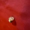 Insigna cu buton si initiale GP , metal aurit , d= 1 cm