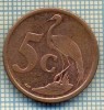 8161 MONEDA- AFRICA DE SUD - 5 CENTS -anul 2007 -starea ce se vede