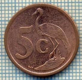 8159 MONEDA- AFRICA DE SUD - 5 CENTS -anul 2008 -starea ce se vede foto